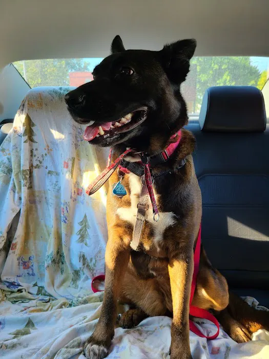 Jefferson Animal Hospital 12
