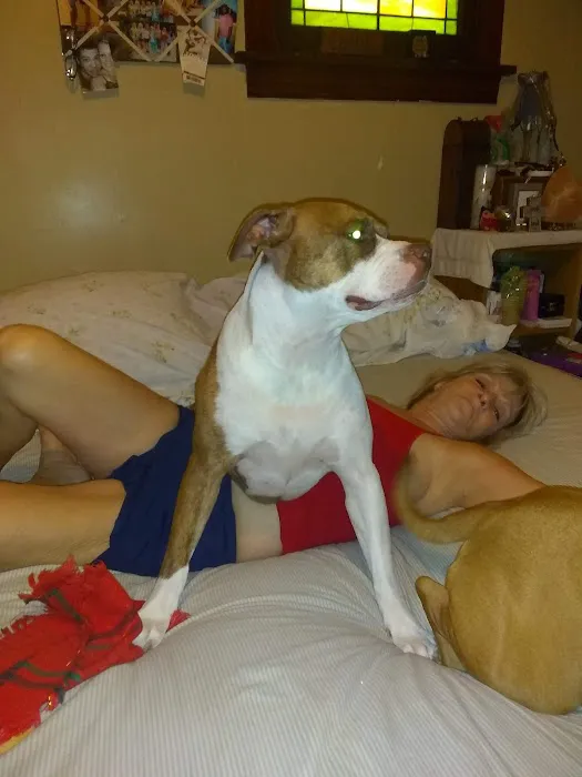 Banfield Pet Hospital 12