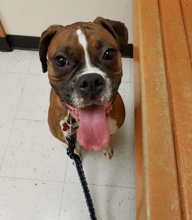 Banfield Pet Hospital 12