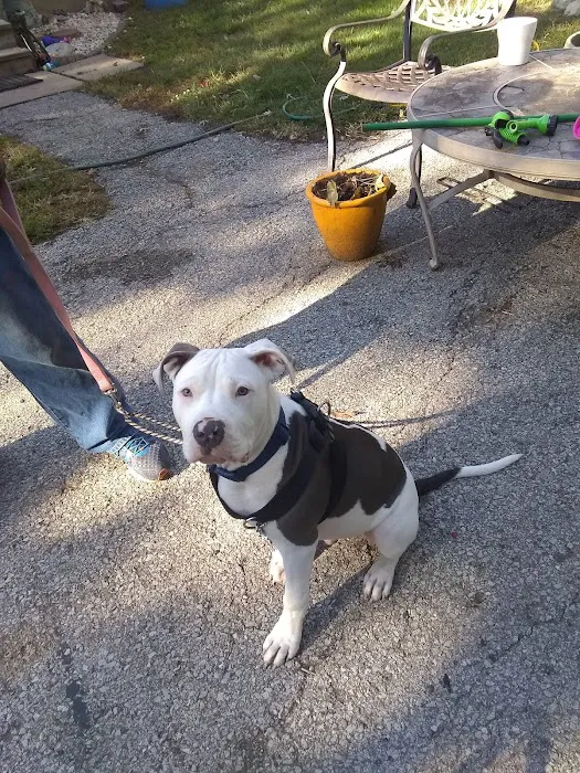 Banfield Pet Hospital 12