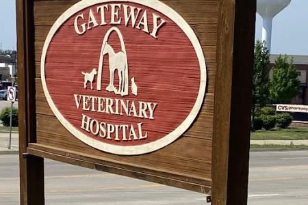 Gate Way Equine Veterinary