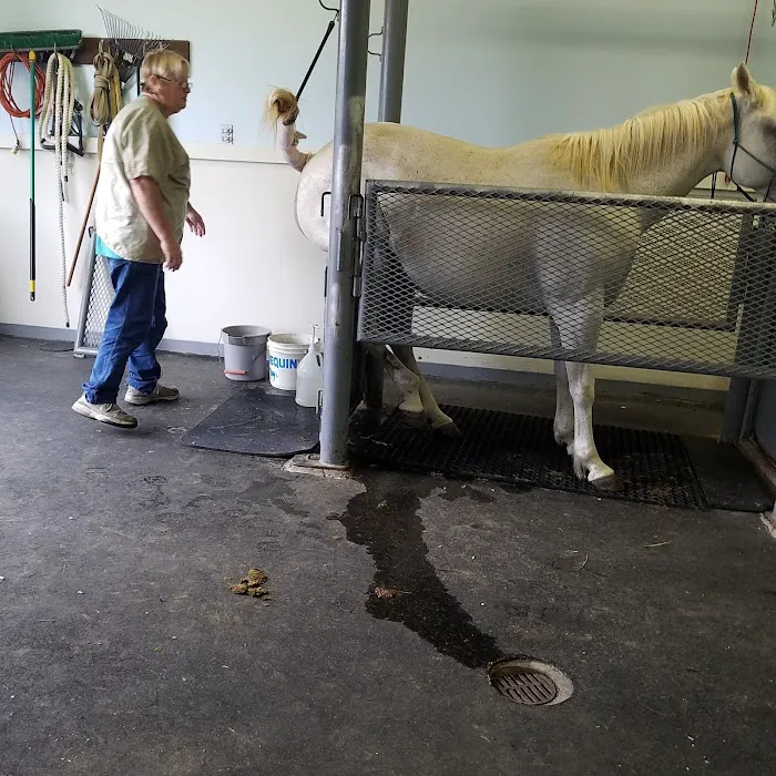 Gate Way Equine Veterinary 12