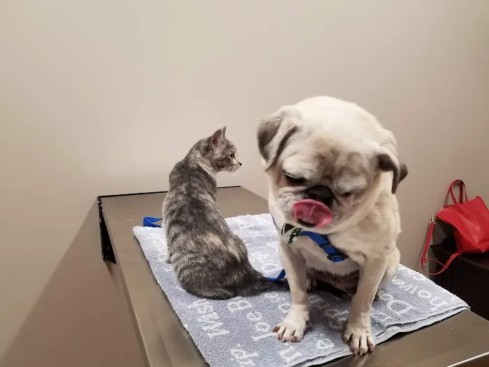 Premier Pet Care 12
