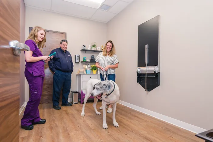 Premier Pet Care 12
