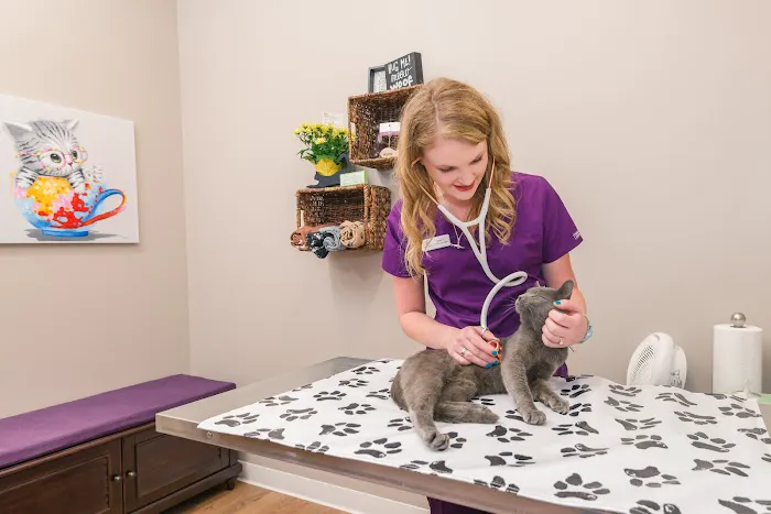 Premier Pet Care 12