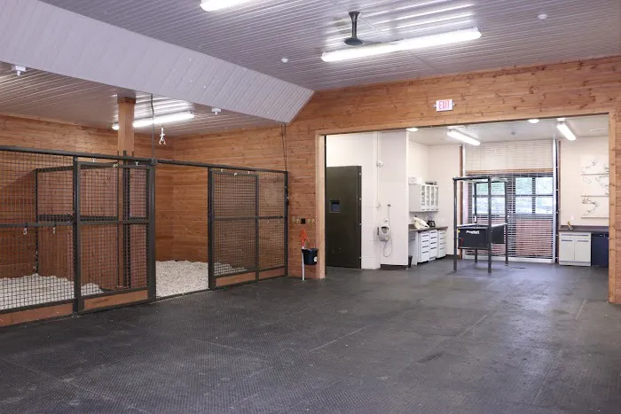 Homestead Veterinary Hospital 8
