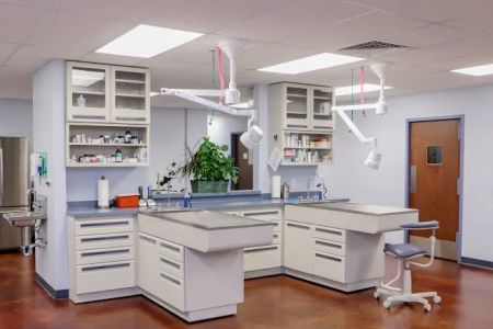 Homestead Veterinary Hospital