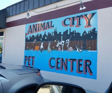 Animal City Pet Center