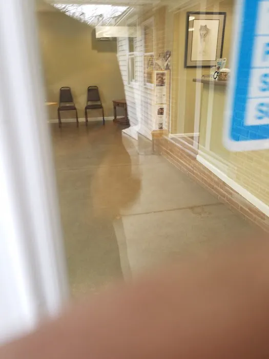Washington Veterinary Clinic 6