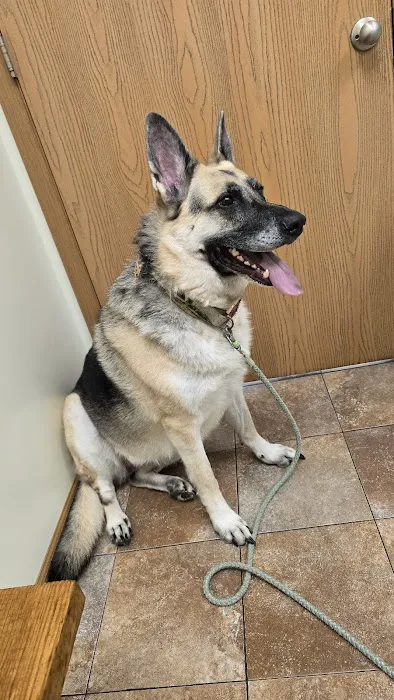 Union Veterinary Associates 8