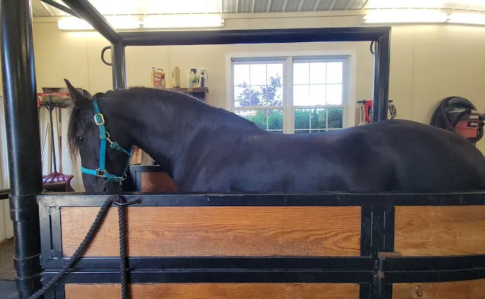 Union Veterinary Associates 4