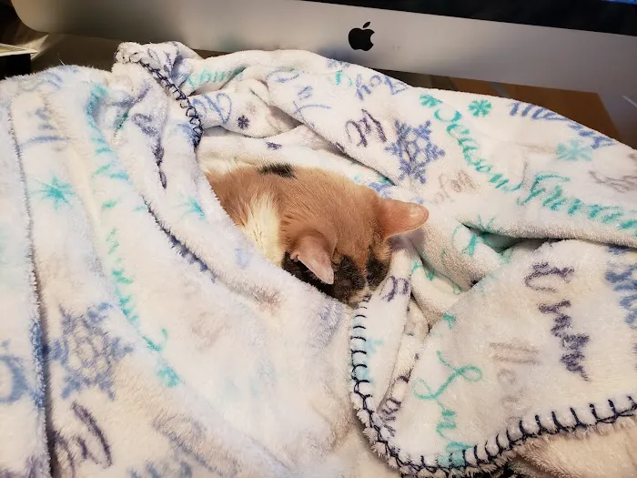 Animal Care Clinic of Washington 2