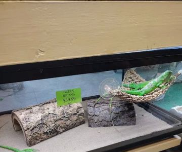 Franklin Aquarium Pet Shop