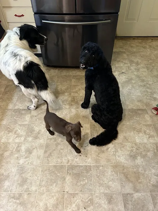 Animal Clinic Of Union 5