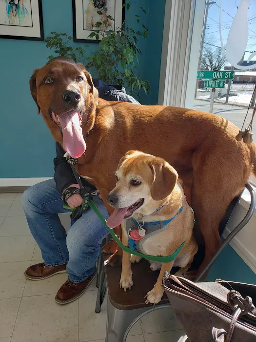 Animal Hospital of Washington 12