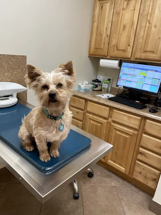 Lone Peak Veterinary Hospital 8