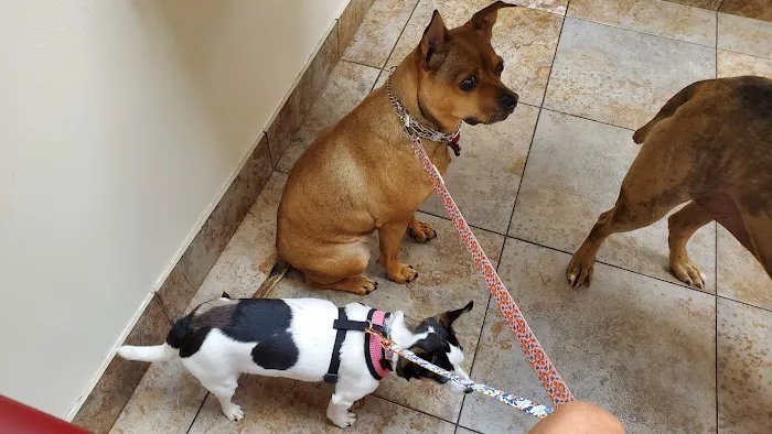 Lone Peak Veterinary Hospital 3