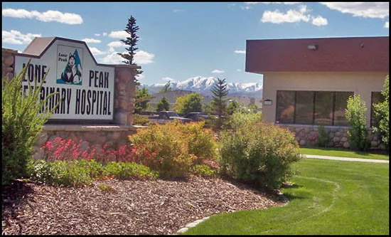 Lone Peak Veterinary Hospital 5
