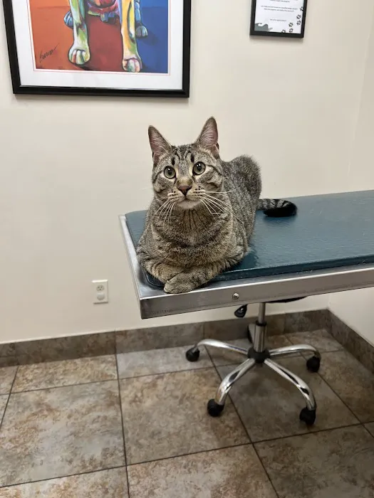 Lone Peak Veterinary Hospital 2