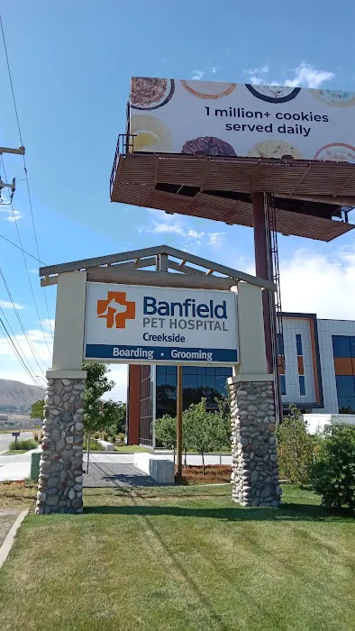 Banfield Pet Hospital 1