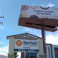 Banfield Pet Hospital ico