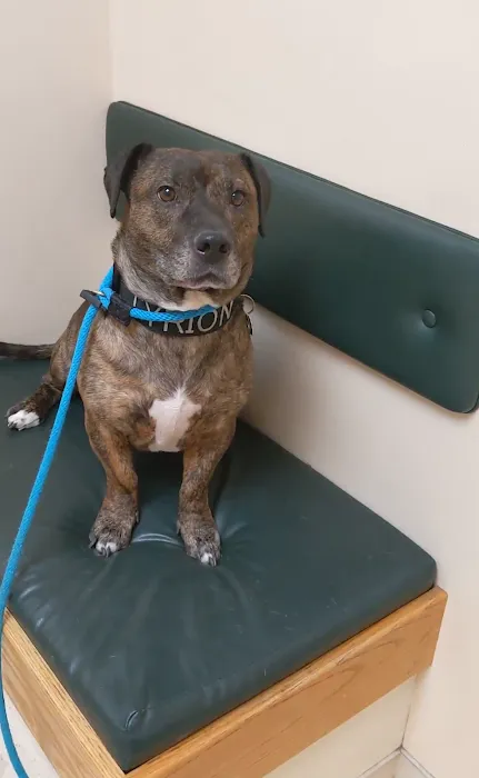 Banfield Pet Hospital 8