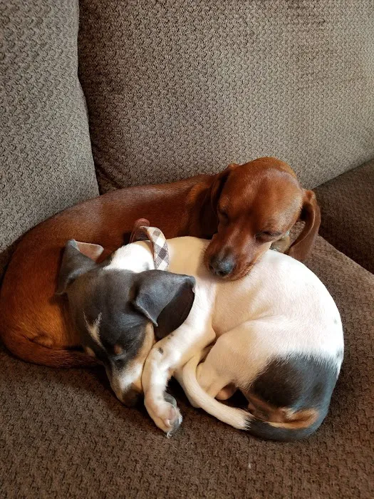 Banfield Pet Hospital 9