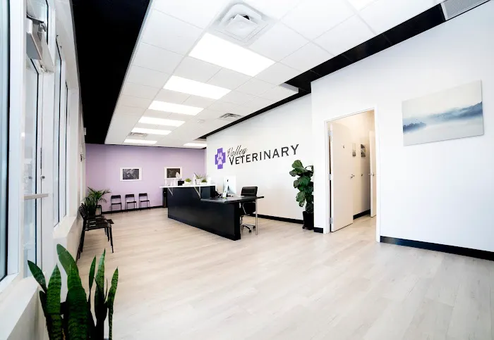 Valley Veterinary Hospital 4