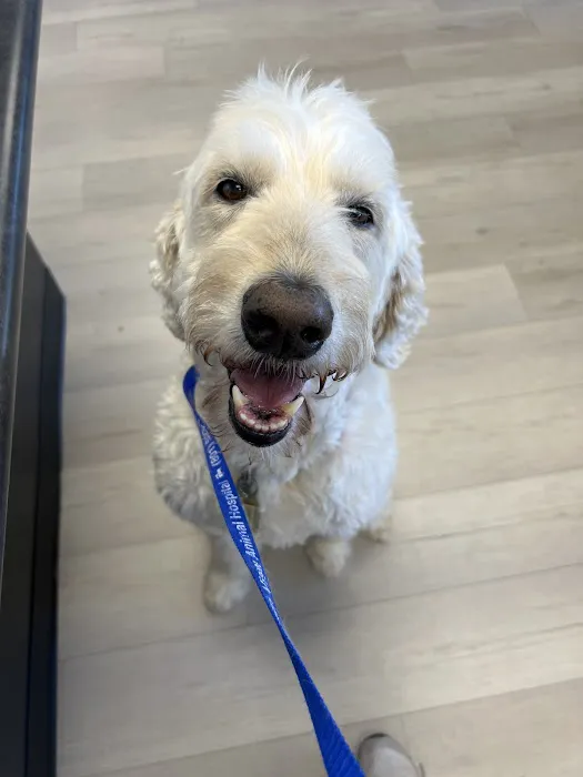Valley Veterinary Hospital 6