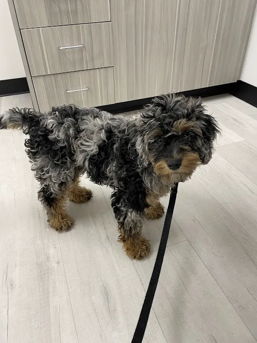 Valley Veterinary Hospital 3