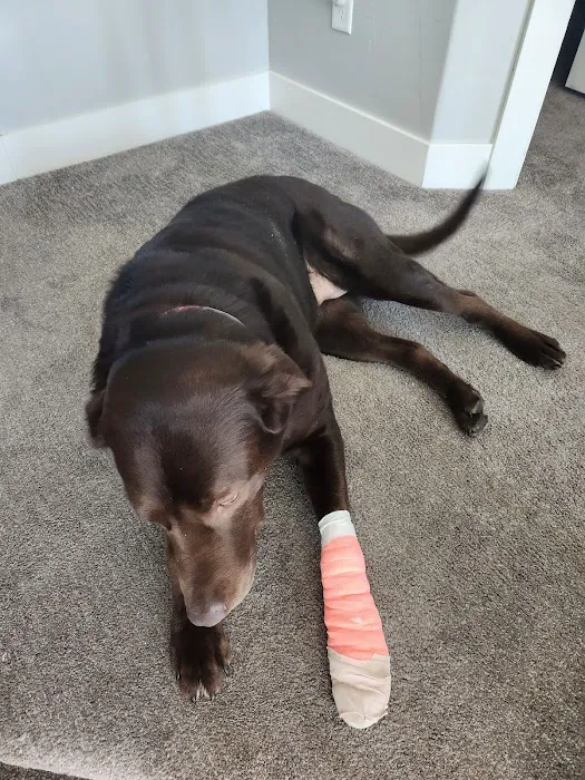 Valley Veterinary Hospital 8
