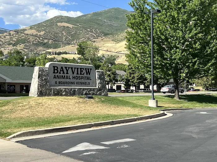 Bayview Animal Hospital Farmington 5