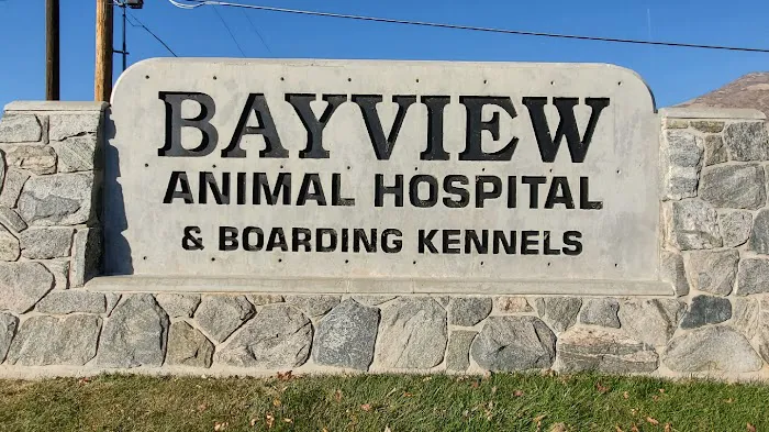 Bayview Animal Hospital Farmington 9