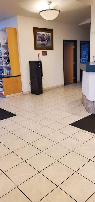 Bayview Animal Hospital Farmington 7