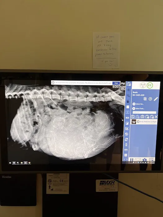 Bayview Animal Hospital Farmington 6