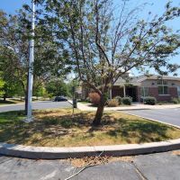 Bayview Animal Hospital Farmington ico