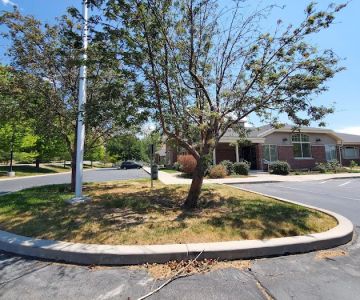 Bayview Animal Hospital Farmington