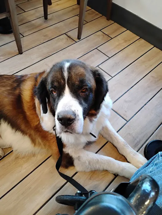 Kaysville Veterinary Hospital 4