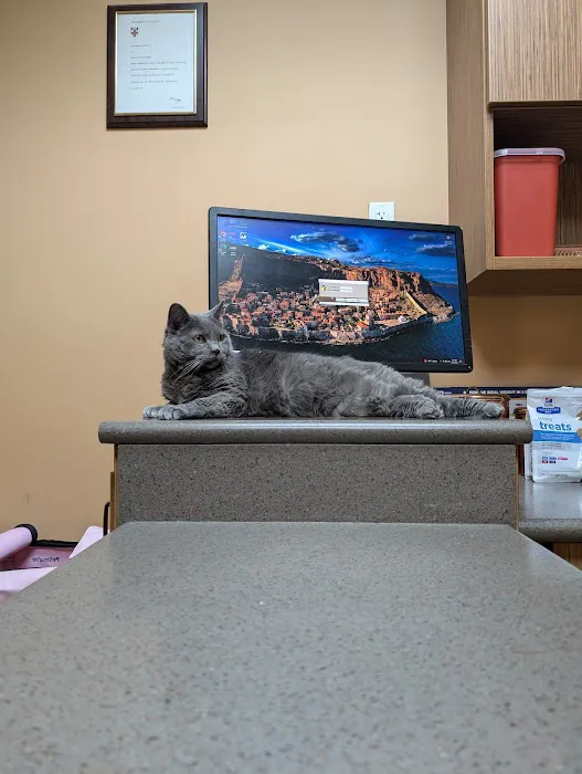 Kaysville Veterinary Hospital 2