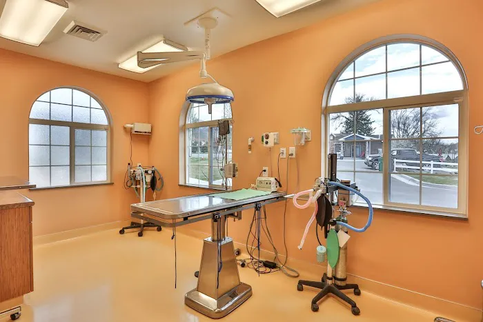 Kaysville Veterinary Hospital 9