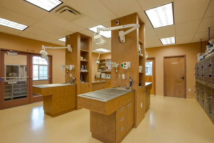 Kaysville Veterinary Hospital 10
