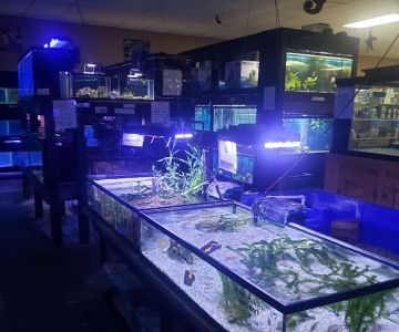 J & M Pet Land