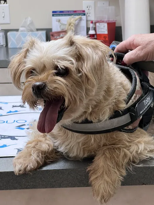 Fairfield Veterinary Hospital 6