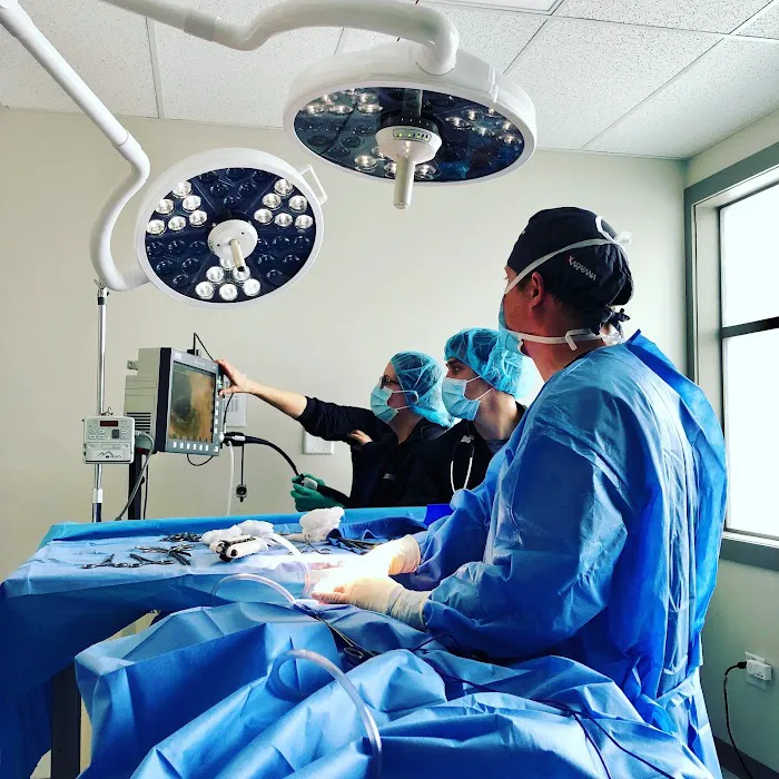 Mountain West Veterinary Specialists 3