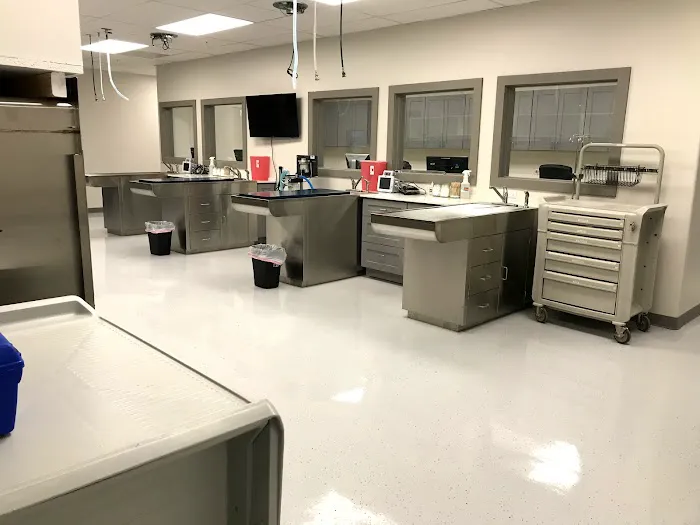 Mountain West Veterinary Specialists 1