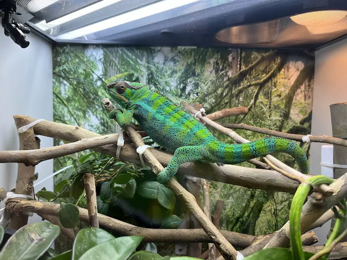 Mountain West Veterinary Specialists - Exotics Department 3