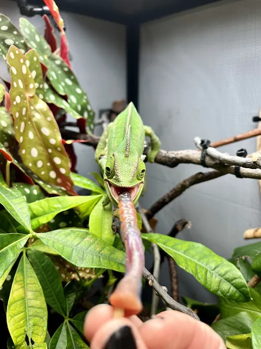 Mountain West Veterinary Specialists - Exotics Department 4