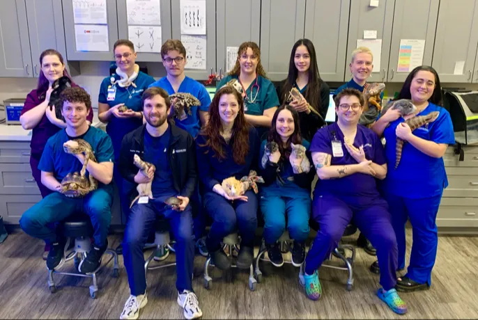Mountain West Veterinary Specialists - Exotics Department 5