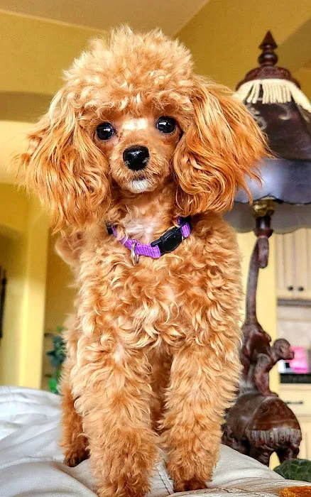 Bayview Animal Hospital Layton 1