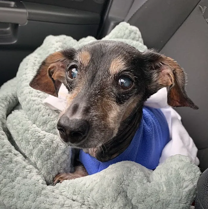 Bayview Animal Hospital Layton 5